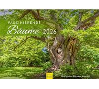 Edition Seidel Calendario premium con árboles fascinantes 2026, formato DIN A3, calendario de pared, Europa Alemania, bosque mixto, castaño, roble Christian Müringer