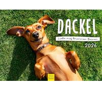 Edition Seidel Calendario premium con diseño de perro salchicha amor sobre las piernas torcidas 2026, formato DIN A4, calendario de pared, calendario para perros, cachorros, animales, niños, razas de