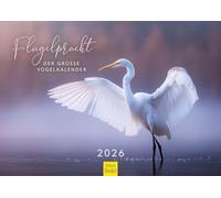 Edition Seidel Calendario premium de alas con el gran calendario de pájaros, formato DIN A3, calendario de pared, calendario natural, pájaros, águila, urraca, flamenco, cristiano Müringer