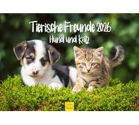 Edition Seidel Calendario premium de Amigos Animales Perro y Gato 2026 Formato DIN A3 Calendario de Pared Calendario Animales Perros Gatos Cachorros Gatitos Amistad