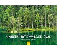 Edition Seidel Calendario premium de bosques vírgenes 2026, formato DIN A3, calendario de pared, calendario natural, Europa, Estados Unidos, Nueva Zelanda, bosque de viena, bosque de abedules, árboles