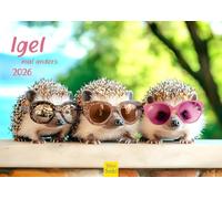 Edition Seidel Calendario premium de erizo veces diferentes 2026, formato DIN A4, calendario de pared, calendario de animales, con divertidas imágenes frescas de animales salvajes