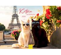 Edition Seidel Calendario premium de gatos en viaje por el mundo 2026, formato DIN A4, calendario de pared, calendario de viaje, gato, gatito, mundo, viajes, metrópolis en todo el mundo