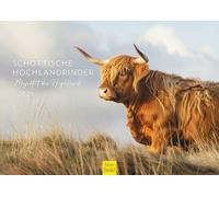 Edition Seidel Calendario premium de la majestad de las tierras altas escocesas, formato DIN A3, calendario de pared, calendario de pared, calendario de animales de Escocia, Highland Cattle Kyloe
