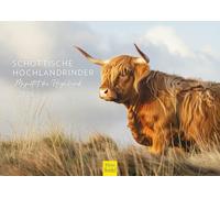 Edition Seidel Calendario premium de la majestad de las tierras altas escocesas, formato DIN A4, calendario de pared, calendario de pared, calendario de animales de Escocia, Highland Cattle Kyloe