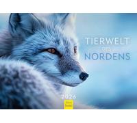 Edition Seidel Calendario premium de la vida silvestre del norte 2026, formato DIN A4, calendario de pared del norte de Escandinavia, animales árticos, zorro ártico, reno, oso polar, morsa, lince