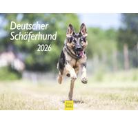 Edition Seidel Calendario premium de pastor alemán 2026, formato DIN A4, calendario de pared, calendario para perros, cachorros, razas de perros y mascotas