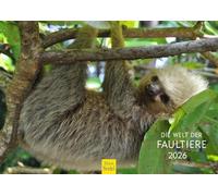 Edition Seidel Calendario premium El mundo de los perezosos 2026, formato DIN A4, calendario de pared, calendario de animales, garras de gancho perezoso, animales salvajes mamíferos