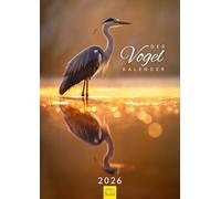 Edition Seidel Calendario premium El pájaro calendario 2026 formato DIN A3 calendario de pared pájaro pescador tucán flamenco cardenal rojo América del Norte América del Sur Asia África Christian