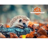 Edition Seidel Calendario premium erizo en armonía con la naturaleza 2026, formato DIN A3, calendario de pared, animales, erizos, animales jóvenes, bosque, naturaleza, mascota, amante de los animales