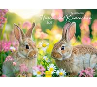 Edition Seidel Calendario Premium Fascinación Conejos y Conejos 2026 Formato DIN A4 Calendario de Pared Calendario Animales Niños
