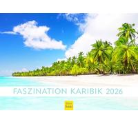 Edition Seidel Calendario Premium Fascinación del Caribe 2026, formato DIN A4, calendario de pared, caribe, Maldivas, Seychelles, República Dominicana, playa, mar, costa, palmeras