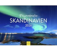 Edition Seidel Calendario Premium Fascinante Escandinavia 2026, formato DIN A4, calendario de pared, Noruega, Suecia, Dinamarca, Islandia, Finlandia, Laponia, fiordos, géiser del norte