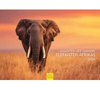 Edition Seidel Calendario premium gigantes de la sabana elefantes africanos 2026 formato DIN A4 calendario de pared calendario animal naturaleza estepa
