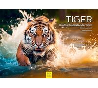 Edition Seidel Calendario Premium Tiger 2026, formato DIN A3, calendario de pared, calendario de animales, el gato depredador más grande de África, cachorro, gato, depredador, animales salvajes