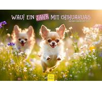 Edition Seidel Calendario Premium Wau de un año con chihuahua 2026, formato DIN A3, calendario de pared, animales, perro, cachorro, perro, perro, perro, mascota, moda, estilo de vida, hogar, amante de