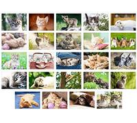 Edition Seidel Juego de 24 tarjetas postales con gatos, gatitos y animales (20371)