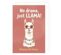 Edition Seidel Premium tarjeta de cumpleaños con sobre. Tarjeta de felicitación con mensaje en inglés Happy Birthday para hombre mujer amigos llama tendencia humor (G4637 LBW26)