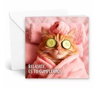 Edition Seidel Premium tarjeta de cumpleaños cuadrada con sobre. Tarjeta de cumpleaños Feliz Cumpleaños en español para mujer amiga gato bienestar relax divertido (GQ875 SW026)