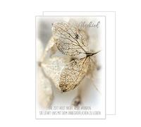 Edition Seidel Tarjeta de condolencia premium con relieve plateado y sobre, tarjeta de condolencia, tarjeta de condolencia, tarjeta de condolencia, tarjeta de condolencia, con texto en alemán