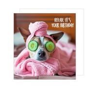 Edition Seidel Tarjeta de cumpleaños cuadrada premium con sobre, tarjeta de felicitación Happy Birthday Billet Animal Tarjeta Hombre Mujer Cool Perro Humor Divertida (GQ1
