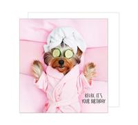 Edition Seidel Tarjeta de cumpleaños cuadrada premium con sobre, tarjeta de felicitación Happy Birthday Billet Tarjeta con mensaje para mujer, novia, relax, perro, (GQ294 SW024)