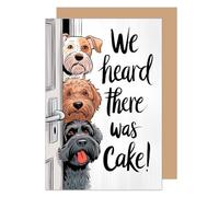 Edition Seidel Tarjeta de cumpleaños premium con sobre, tarjeta de felicitación con texto divertido para cumpleaños, para hombre y mujer, niño, perros (G3636 SW024)