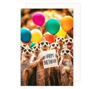 Edition Seidel Tarjeta de cumpleaños premium con sobre, tarjeta de felicitación de animales, billet, cumpleaños, hapy birthday hombre, mujer, suricata, globos de colores, humor divertido (G3564 SW024)