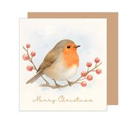 Edition Seidel Tarjeta de felicitación cuadrada de Navidad con sobre, tarjeta de felicitación de Navidad, tarjeta de felicitación en inglés para mujer y hombre Merry Christmas Xmas Birds Mensajeros