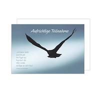 Edition Seidel Tarjeta de luto premium con sobre. Tarjeta de condolencia con texto en alemán "T953 SW022"