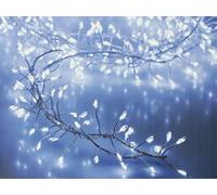 EDM 71291 Guirnalda A Pilas Tipo Espino, Blanco, 100 leds