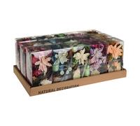 Edm 83905 caja de flores con aroma perfumes, 250 gr