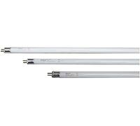 eDM Tubo Fluorescente T5 4W (Luz Actínica) Mata Insectos, 13,5 x 1.6 mm, Multicolor