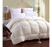 Edredón de forro polar coral grueso ultra afelpado para todas las estaciones, ropa de cama esponjosa similar a una nube para camas Queen, relleno de microfibra transpirable de alta calidad, edredón