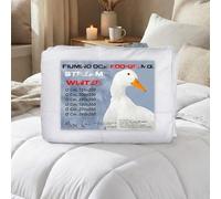 Edredón de ganso "Stream 500 gr." - 80% pluma de oca y 20% plumón - Relleno invernal suave, ideal para las noches más frías - Matrimonial 2 plazas 250 x 200 cm