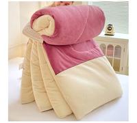 EdredóN De Invierno - Terciopelo De Leche Engrosado De Invierno, NúCleo De EdredóN De Relleno De AlgodóN De Microfibra, Manta EdredóN Cama Edredon De Invierno CáLido B, 220x240cm/3kg