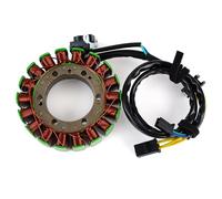 EDSXWUN Bobina Estator Motocicleta Compatible con Cagiva para Raptor 1000 para Navigator 1000 2000 2001 2002 2003 2004 2005 Cables De La Bobina del Estator De La Motocicleta Estator Magneto 800096391