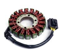 EDSXWUN Bobina Estator Motocicleta Compatible con CBR1000RR 2004 2005 2006 2007 Generador De Bobina De Estator De Motocicleta, Bobina De Magneto, Rotor De Repuesto 31100-MEL-305 31120-MEL-D21