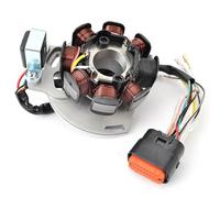 EDSXWUN Bobina Estator Motocicleta Compatible con Gas Gas para EC125 2005 2006 Bobina De Estator Magnético, Generador De Encendido, Motor OEM: EE10000033012 ME250534005