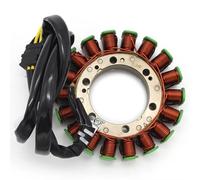 EDSXWUN Bobina Estator Motocicleta Compatible con NV400 para Shadow para Slasher 2000 2001 2002 para NV750C2 para Shadow 1999 2000 2001 Bobina del Estator del Magneto De La Motocicleta 31120-MBA-004