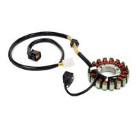 EDSXWUN Bobina Estator Motocicleta Compatible con para KLX400 para KLX400R 2003 2004 Accesorios De Motocicleta Bobinas Cables Estator Magneto Repuesto 21003-S007