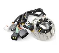 EDSXWUN Bobina Estator Motocicleta Compatible con para KX125 para KX125-K5 1998 Bobina De Estator De Motocicleta Estator Magnético De Repuesto OEM: 21003-1321, 21003-1379