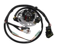 EDSXWUN Bobina Estator Motocicleta Compatible con para KX250 para KX250-K5 1998 Bobina De Estator De Encendido De Motocicleta, Bobina De Estator Magneto, Reemplazo De Estator Magneto 21003-1380
