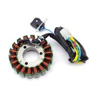 EDSXWUN Bobina Estator Motocicleta Compatible con Polaris para Phoenix 200 2005-2024 para Sawtooth 200 2006 2007 Accesorios De Motocicleta, Cables De Bobina, Estator, Magneto Repuesto 0452449