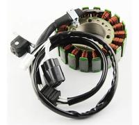 EDSXWUN Bobina Estator Motocicleta Compatible con RS Venture 1000 GT 2007 2008 2009 para RS Vector 100 2005 2006 2007 2008 2009 Bobina De Estator Magneto De Alambre 8GC-81410-00 8GC-81410-10