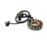 EDSXWUN Bobina Estator Motocicleta Compatible con Suzuki para DRZ250 2001-2007 para DRZ400E 2000-2007, Accesorios De Moto, Bobina De Generador De Estator De Motor De Magneto Polar 32101-13E02