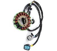 EDSXWUN Bobina Estator Motocicleta Compatible con TRX450ER 2012 2013 2014, Rotor De Bobina Magneto, Placa De Estator De Motocicleta, Bobina De Repuesto 31120-HP1-601