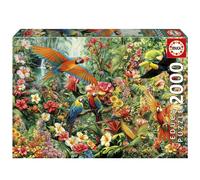 Educa - Puzzle de 2000 Piezas para Adultos | Aves del Amazonas | Medidas: 96 x 68 cm | A Partir de 14 años (20574)
