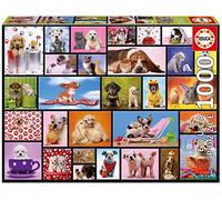 Educa - Puzzle de 1000 Piezas para Adultos | Momentos Compartidos Animales. Incluye Pegamento Fix Puzzle. A Partir de 14 años (15518)