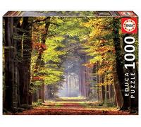 Puzzle EDUCA 1000 Piezas, Paseo Otoñal